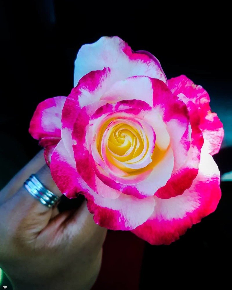 Photograph by Salmaan dada