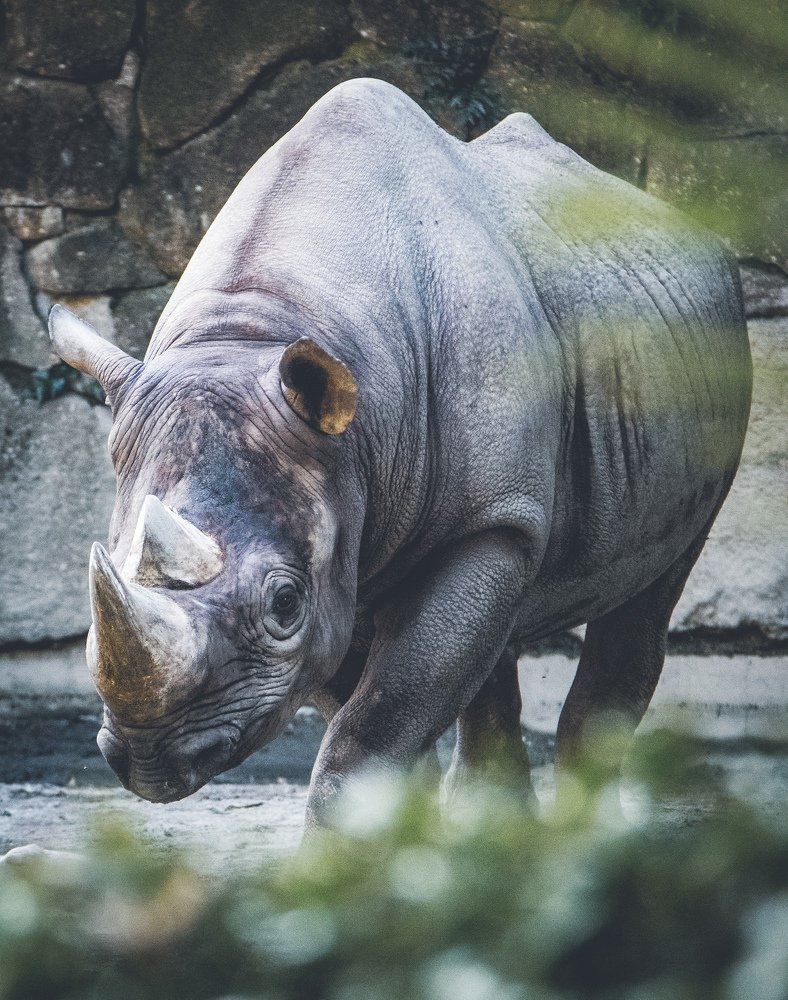 Photograph by Mefesto Decrus