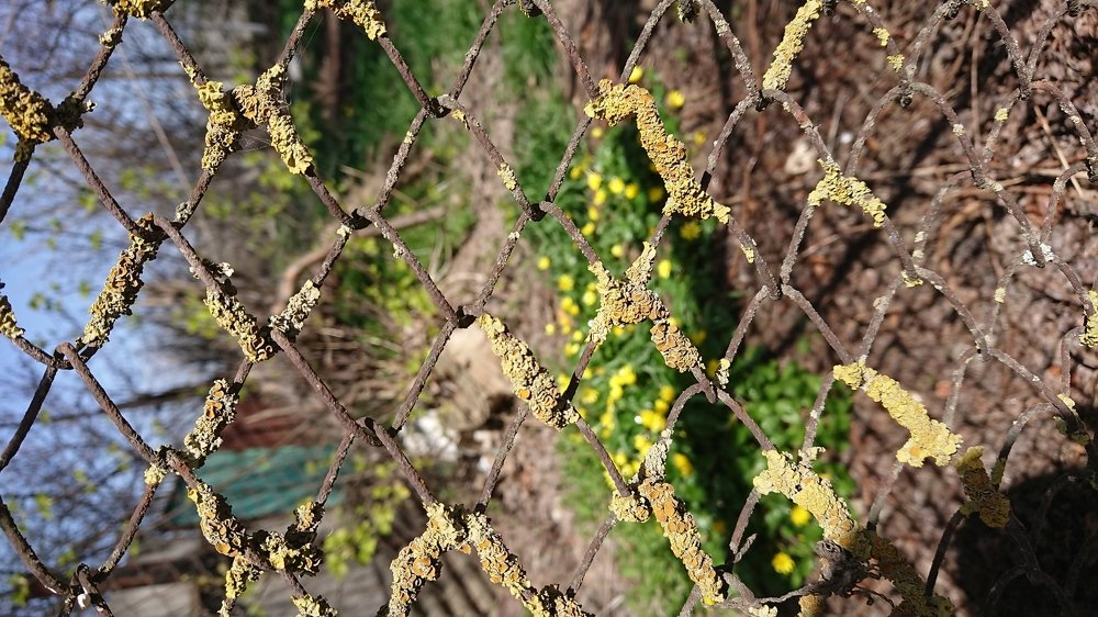 Photograph by Дарья Околова