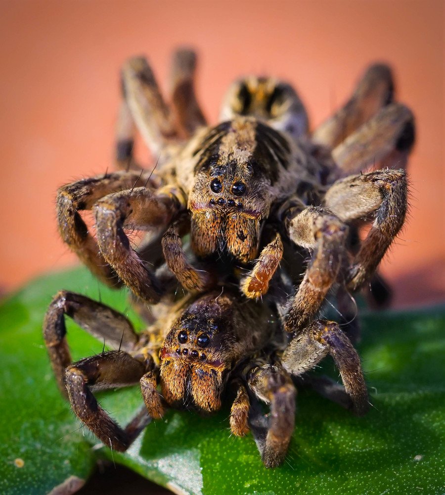 Photograph by Karina Elena Bergagna