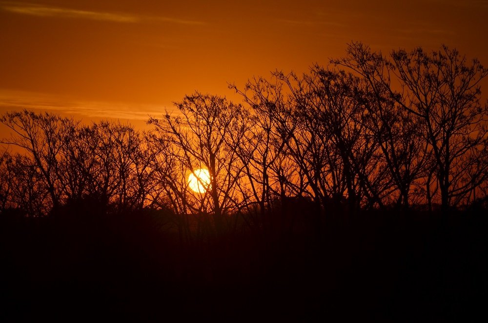 Photograph by María del Luján Tunes