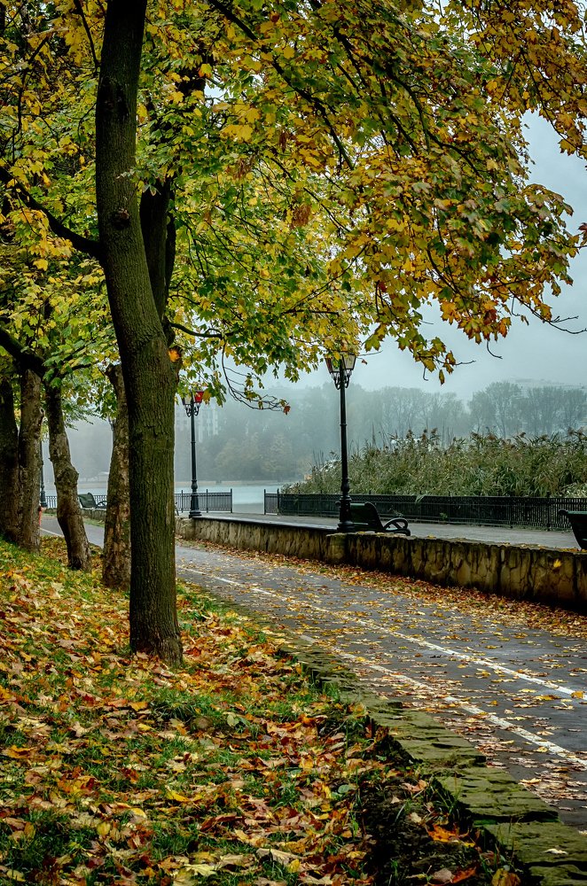 Фотография автора Владимир Троян