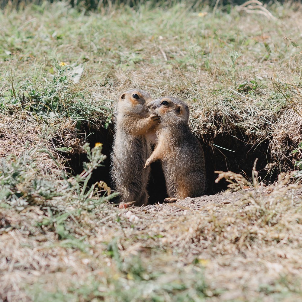 Photograph by Екатерина Иванова