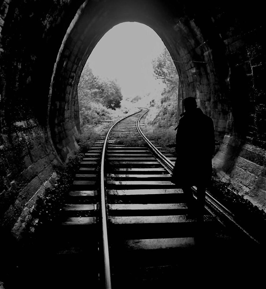 Photograph by nandana tilak thushara madampiti madampitiyage