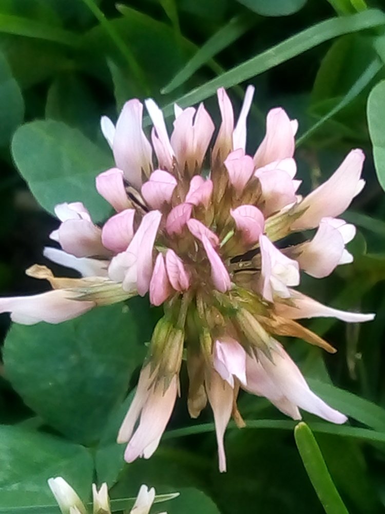 Photograph by Rehana