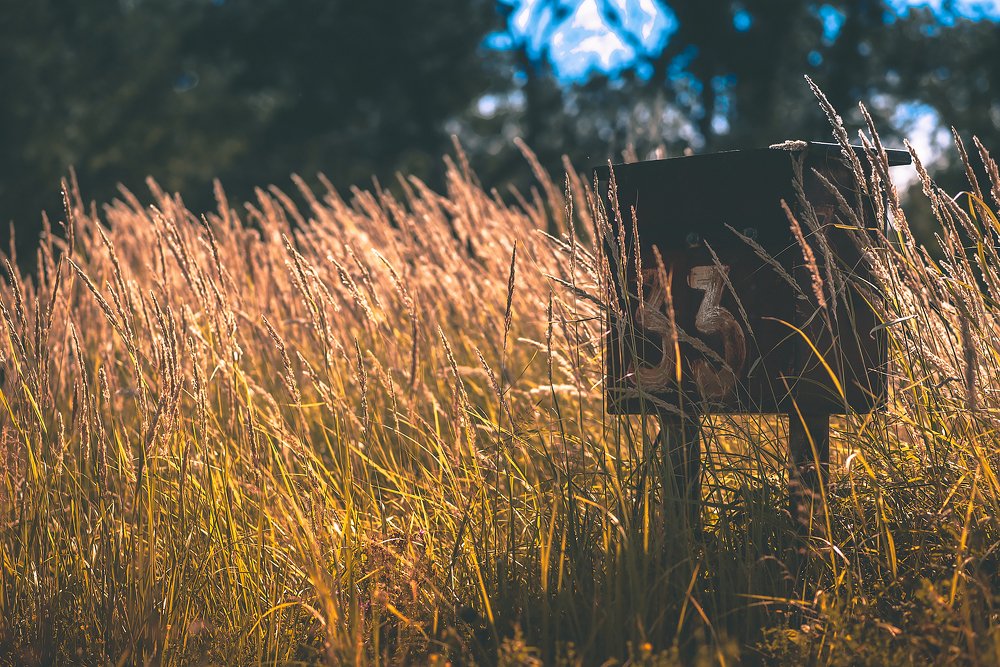 Photograph by #AL_StekloV Алексей