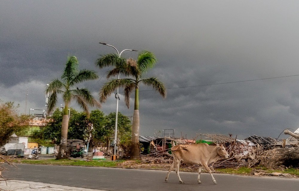 Photograph by anjan mukherjee