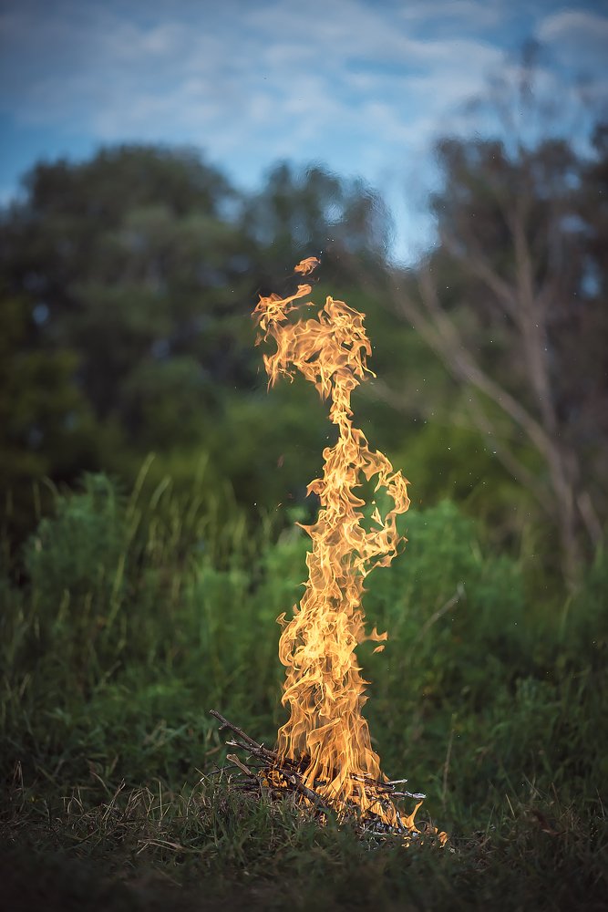 Photograph by #AL_StekloV Алексей