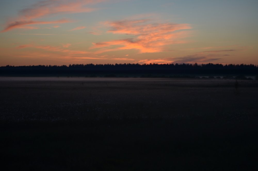 Photograph by Денис Смородин