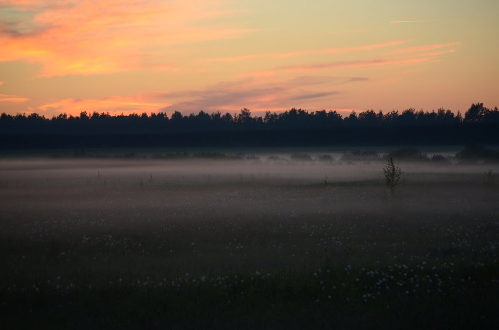 Photograph by Денис Смородин