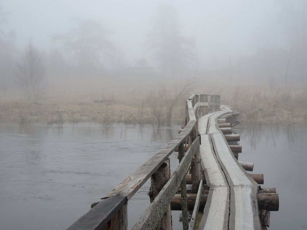 Photograph by Татьяна Ланская