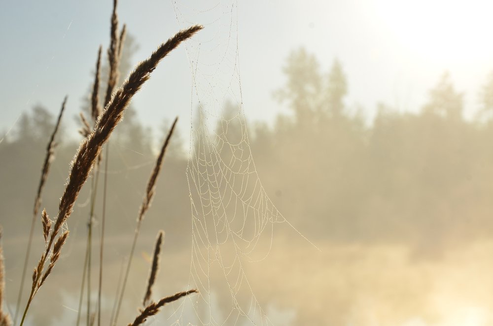 Photograph by Татьяна Ланская