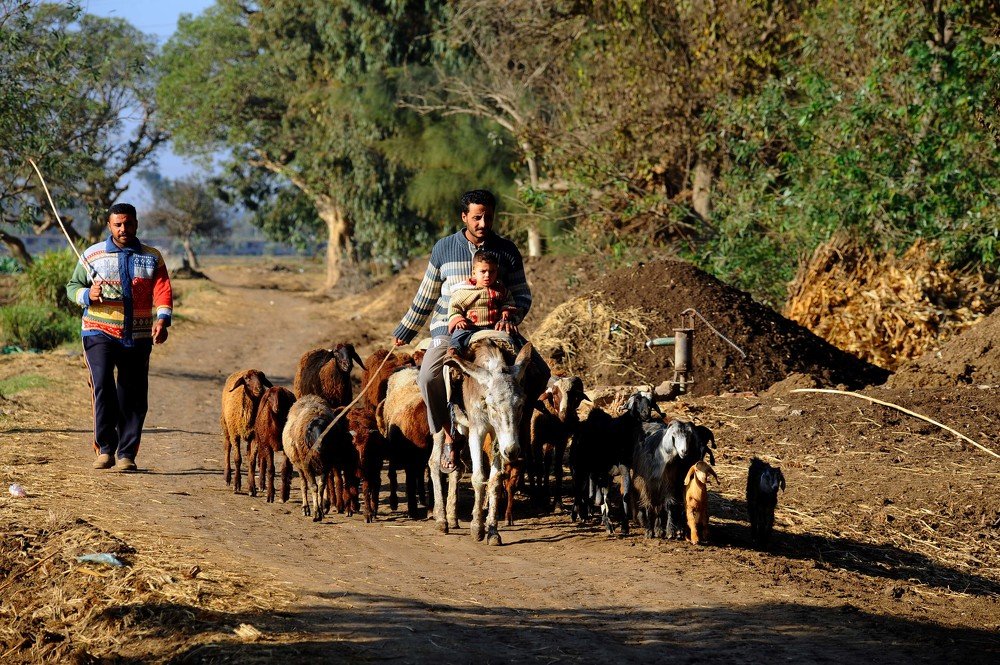Photograph by Hashem Mohamed