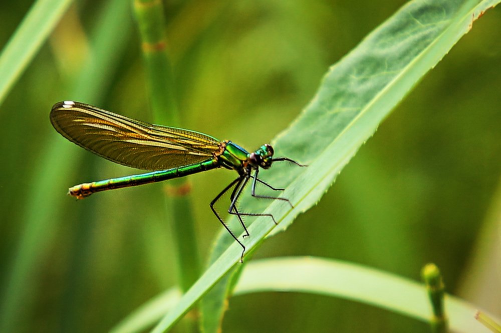 Photograph by Ada Mahmudova