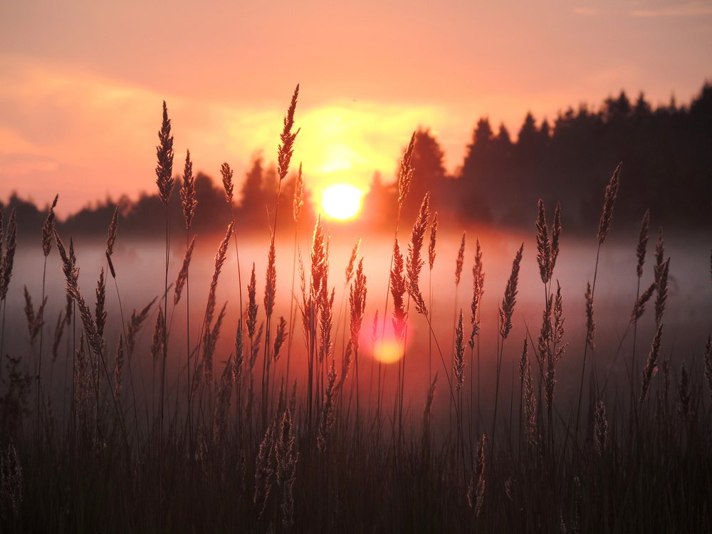 Photograph by Татьяна Ланская