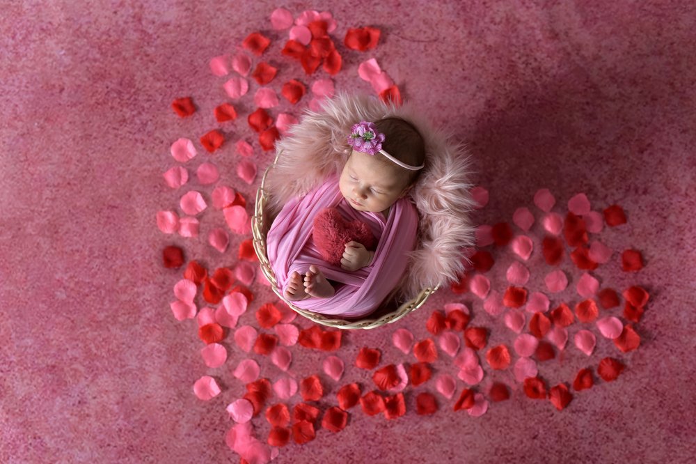 Фотография автора Katerina Zlateva