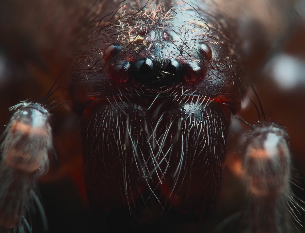 Photograph by Глебов Максим