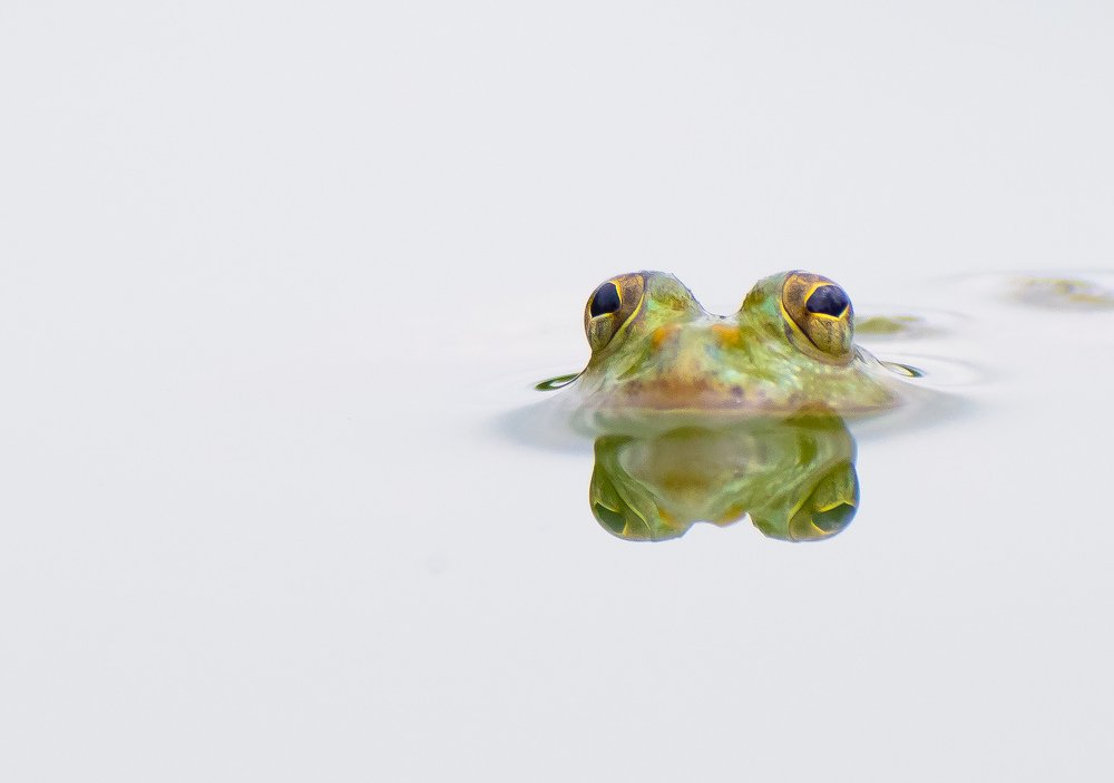 Photograph by Ghosh Gouranga