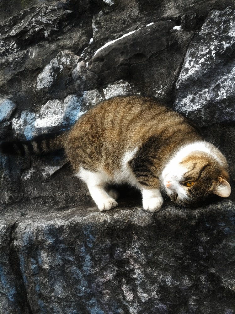 Photograph by Юлия Марфонова