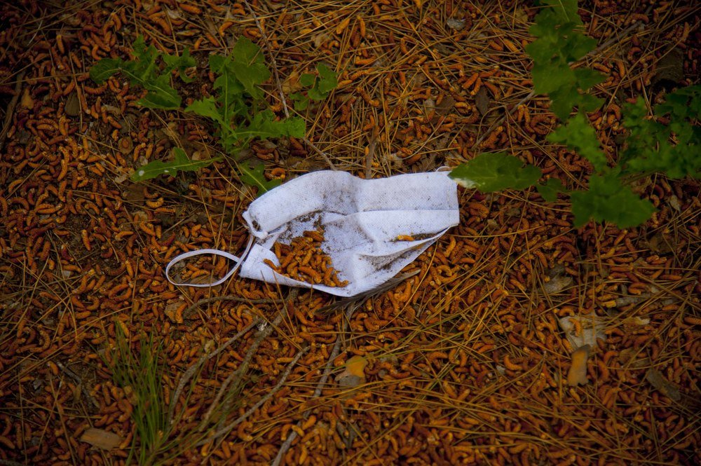 Photograph by Vision Sallys