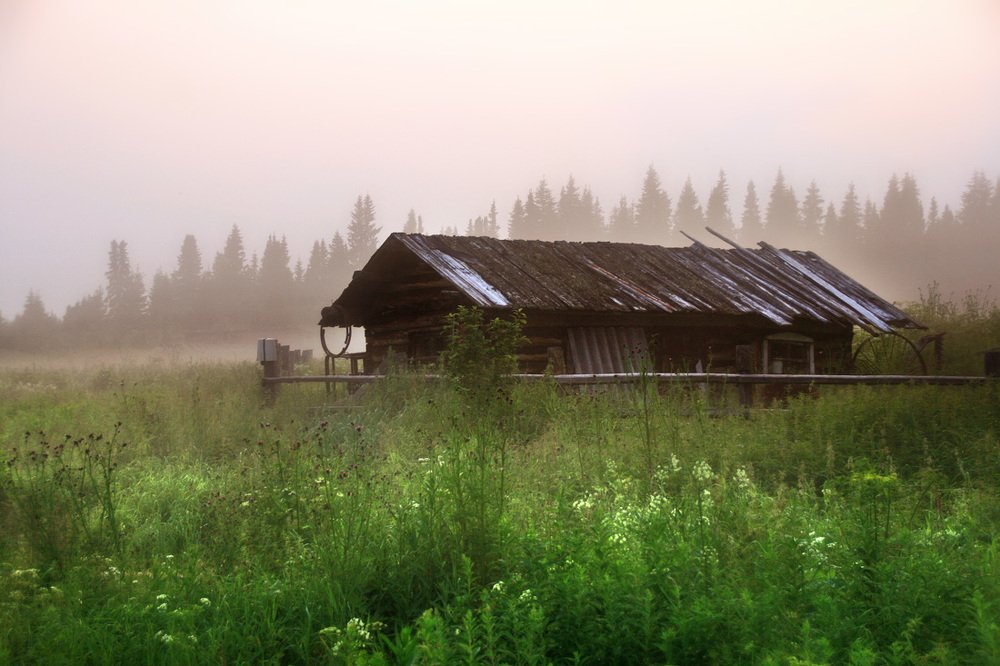 Photograph by Галина Ильясова