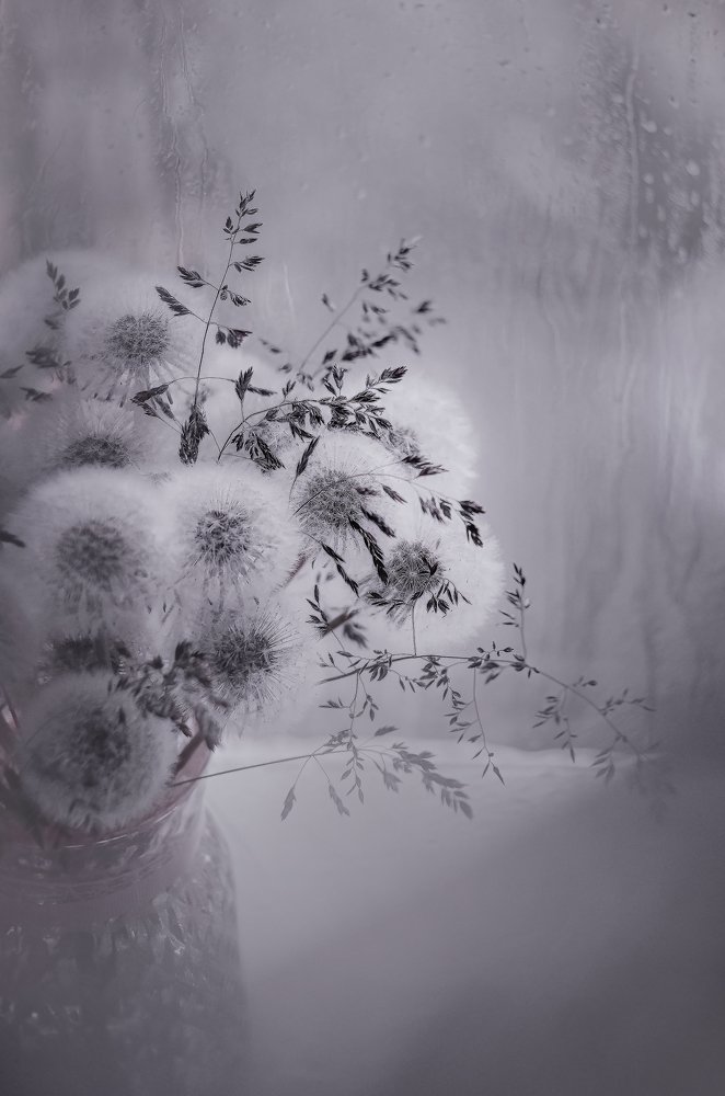 Photograph by Аликина Татьяна