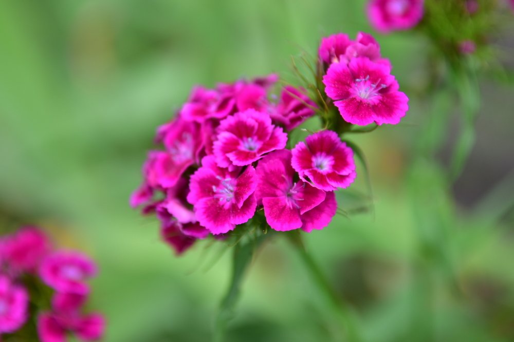 Photograph by Наталья Балева