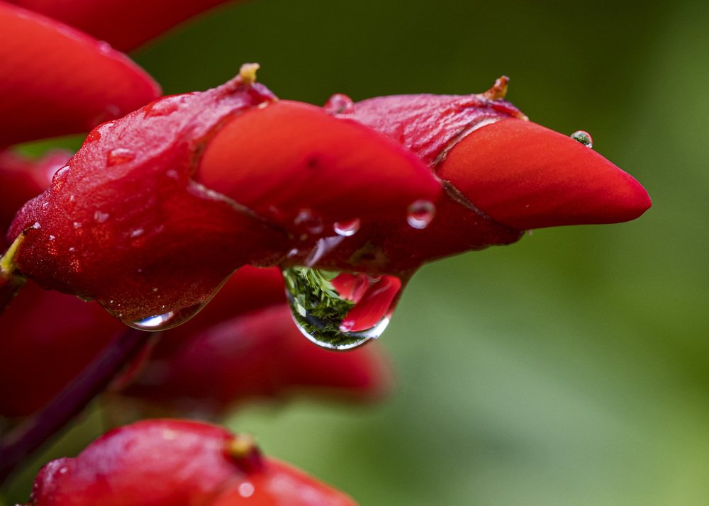 Photograph by selçuk kayan