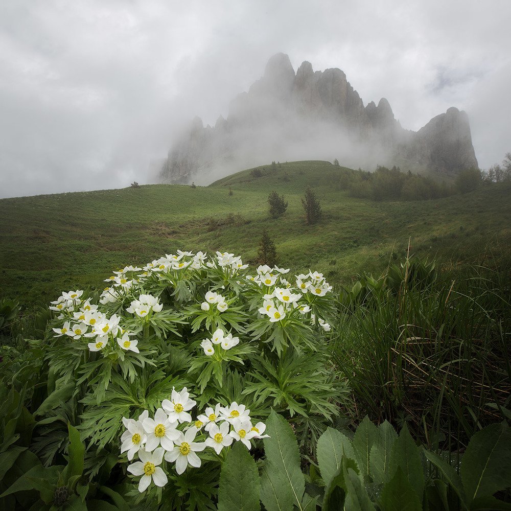 Photograph by Евгений Мудренко