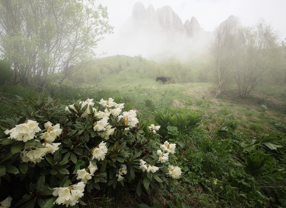 Photograph by Евгений Мудренко