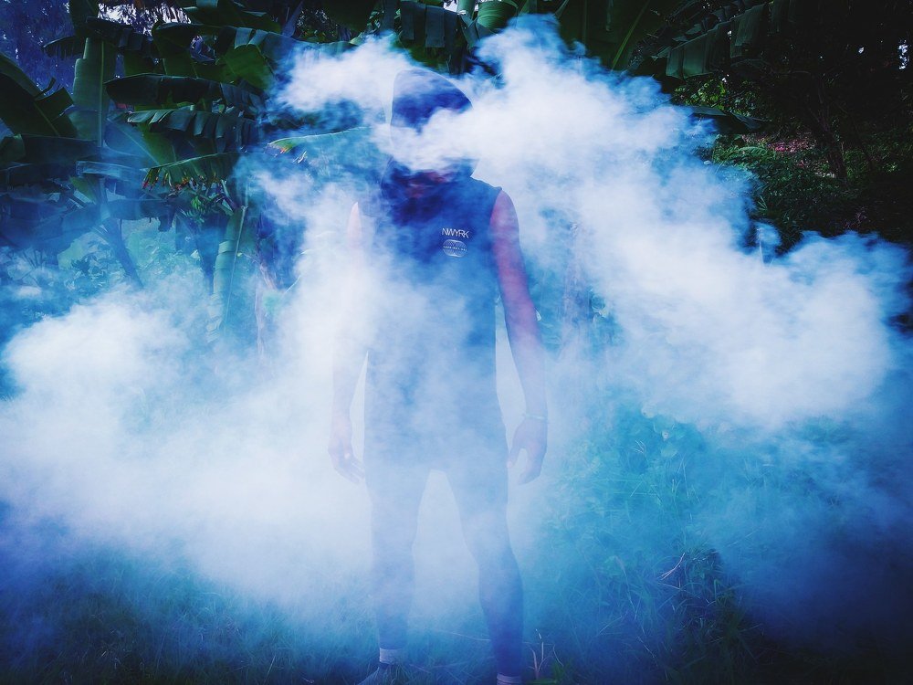 Photo #4672503