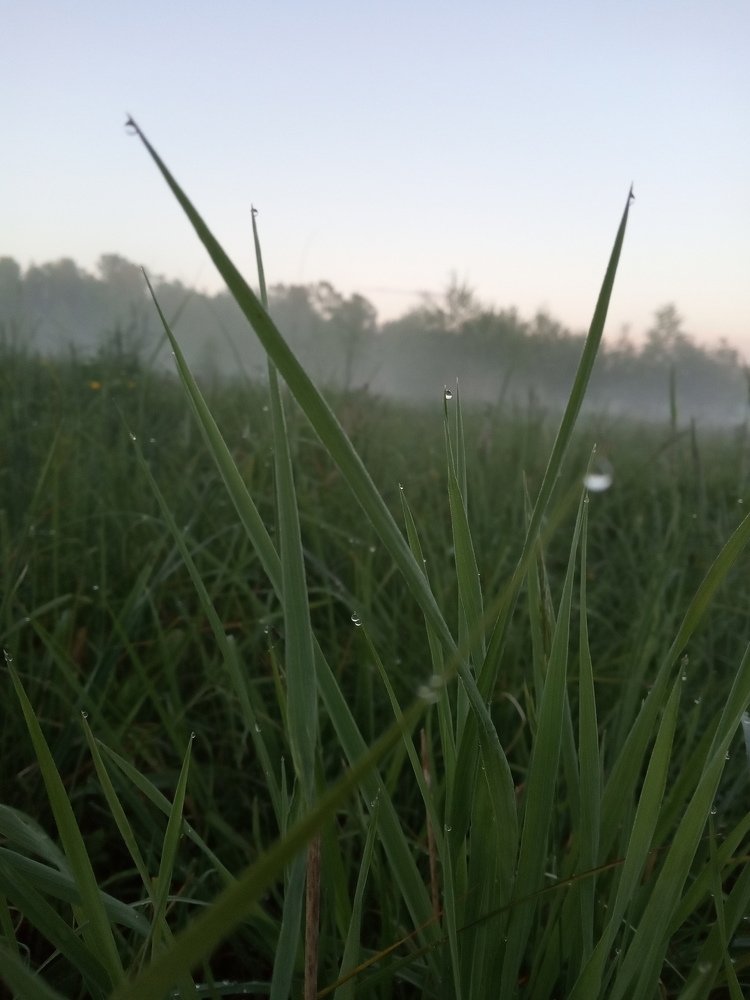 Photograph by Любовь Шаврина