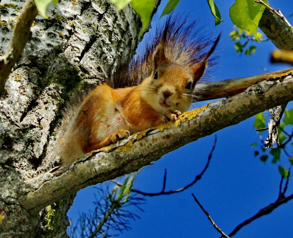 Photograph by Николай Николаевич Леухин