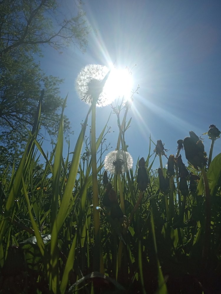 Photograph by Любовь Шаврина