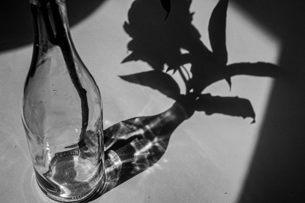 Photograph by Юлия Миронова