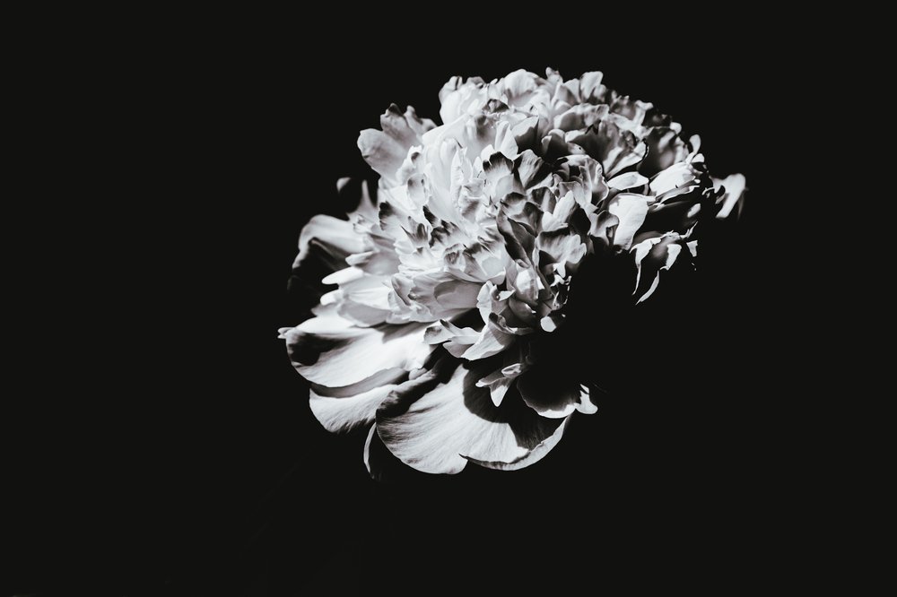 Photograph by Юлия Миронова