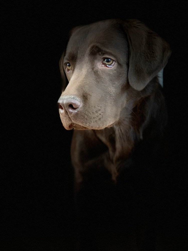 waiting for a miracle