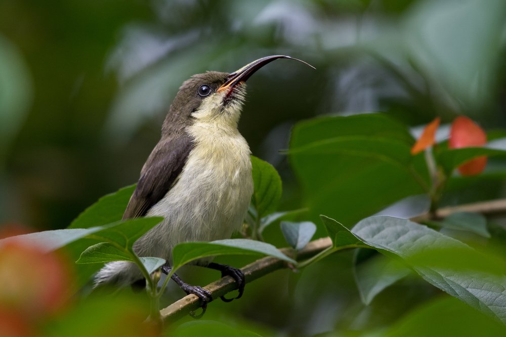 That's my tongue....!!!