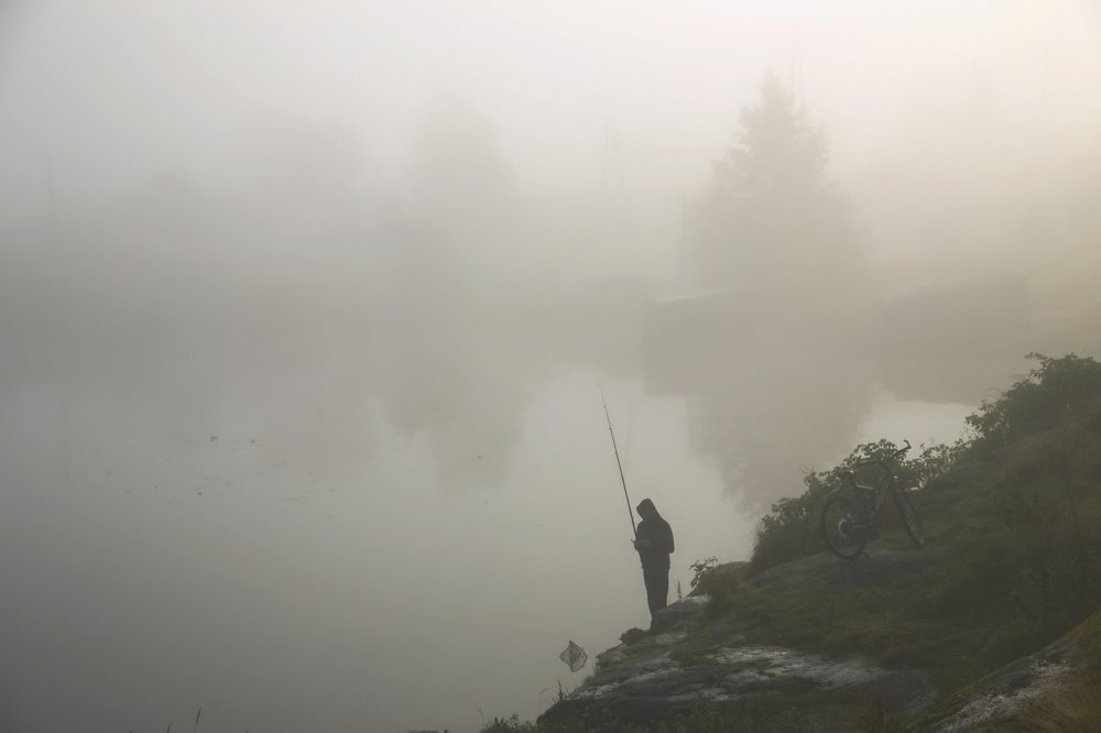 Photograph by Сергей Сыродоев