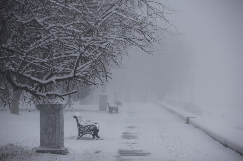 Photograph by Кира Некрасова