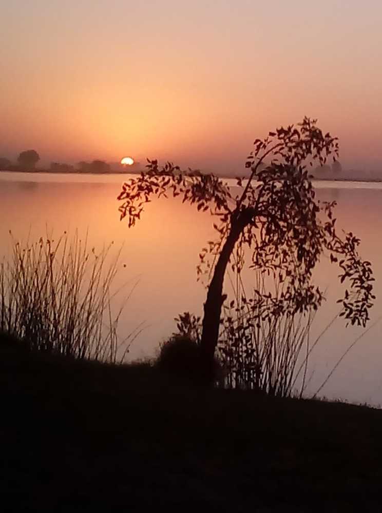 Photograph by Andrea Elizabeth sanabria