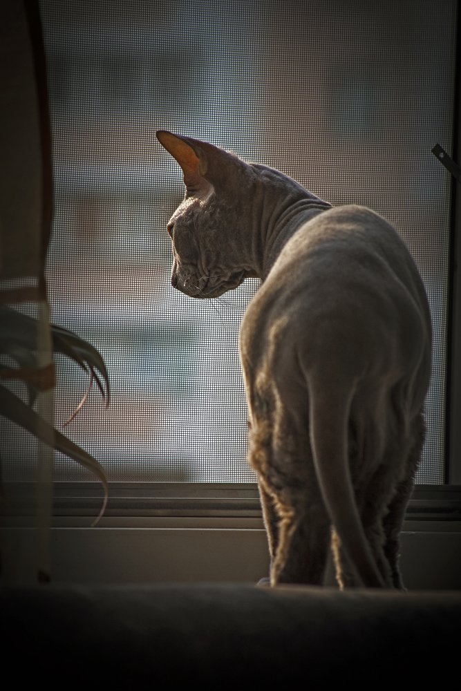 Photograph by Евгений Лимонтов