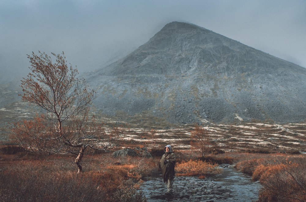 Фотография автора Алексей Новиков