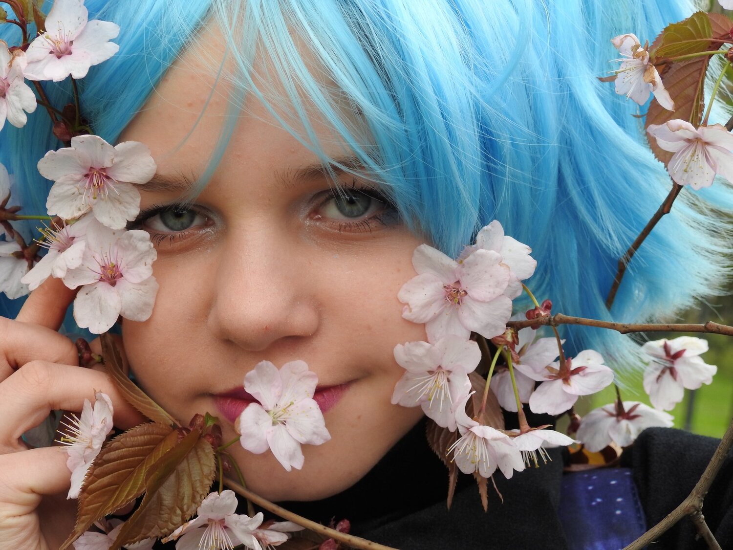 Photo #4672836
