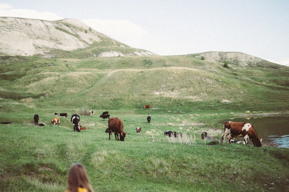 Photograph by Ольга Сарбитова