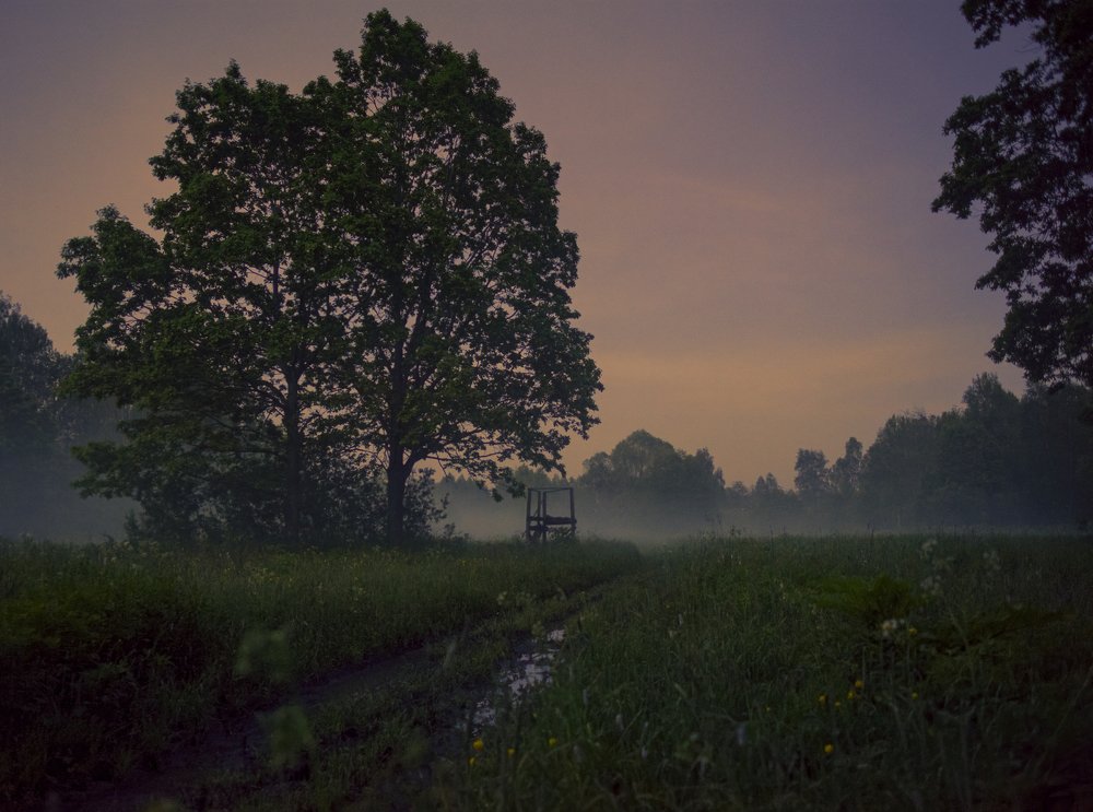 Photograph by Irina Grigoryeva