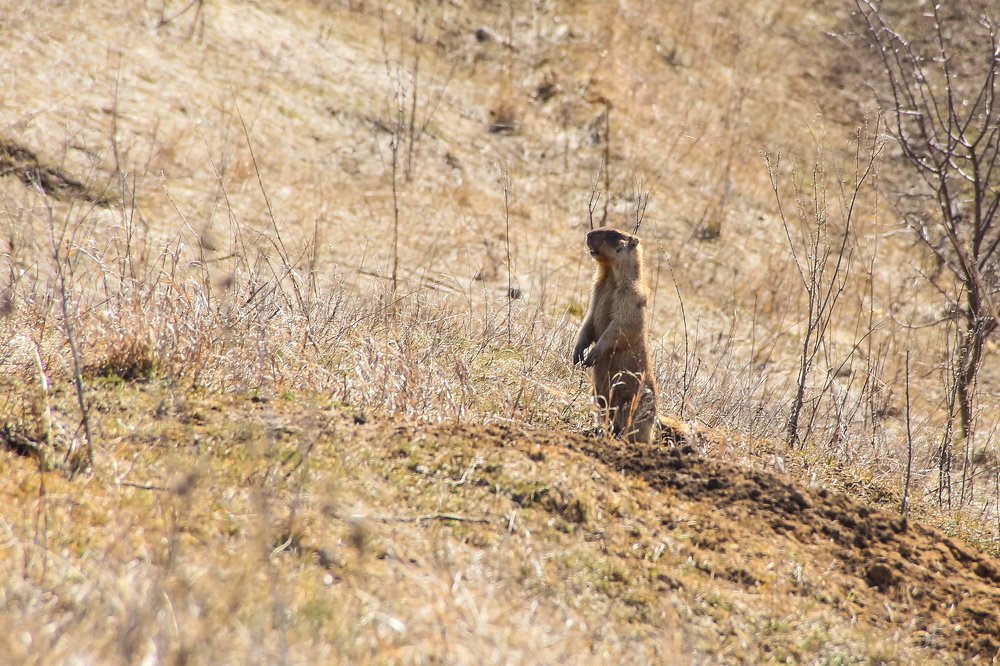 Photograph by Александр Карасев
