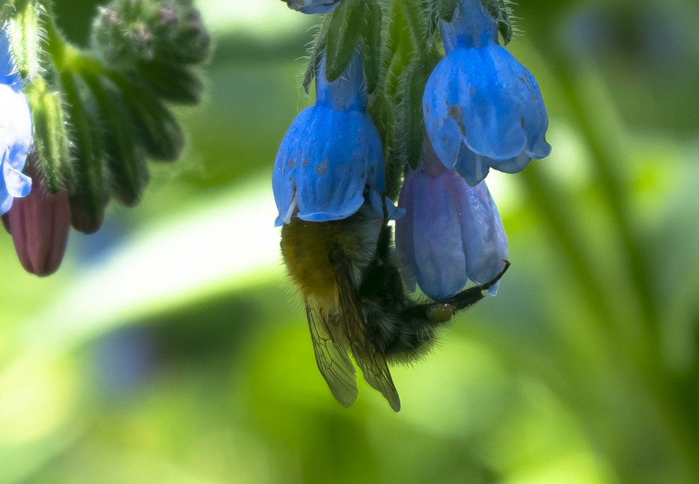 Photograph by Elena Novitskaya