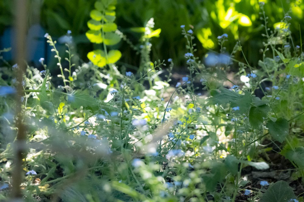 Photograph by Elena Novitskaya