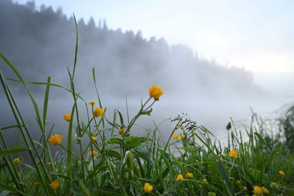 Photograph by Elena Novitskaya